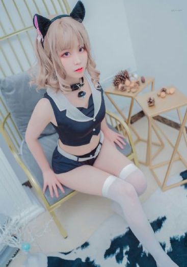 忠犬帕尔玛电影
