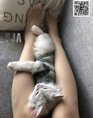 82年生的朴雅拉