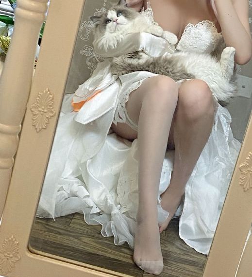雪花影院观看免费完整版