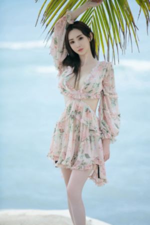 张保仔电视剧