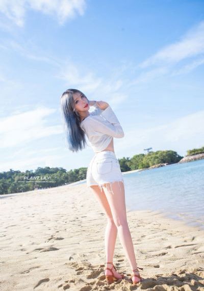 花蝴蝶高清完整