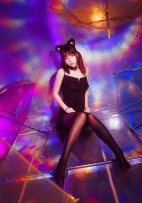 森林里的熊先生在冬眠中
