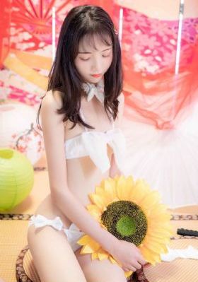 家教高级课程在线